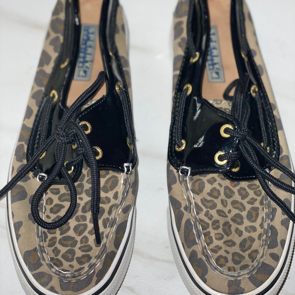 Sperry US 7